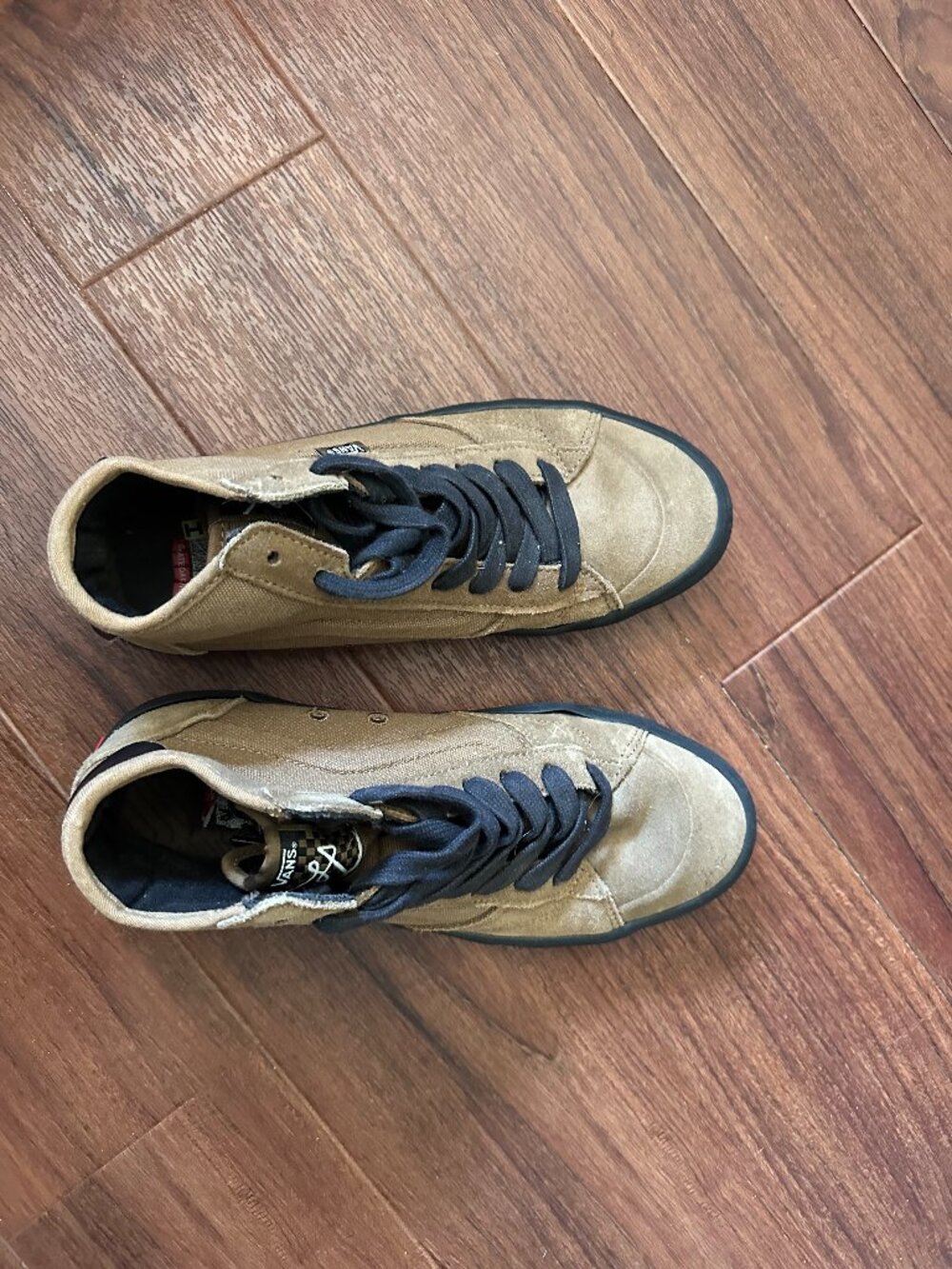 Lizzie Armanto Series Vans Hi Tops Size 8.5